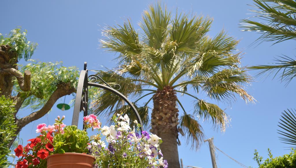 Ansise Guest House Lido di Noto Exteriör bild